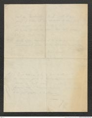 Nachlass Franz Steindachner, Brief von Peracca an Franz Steindachner (20.06.1898), Inv.Nr. 389.01, Seite 4